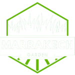 marrakech-removebg-preview